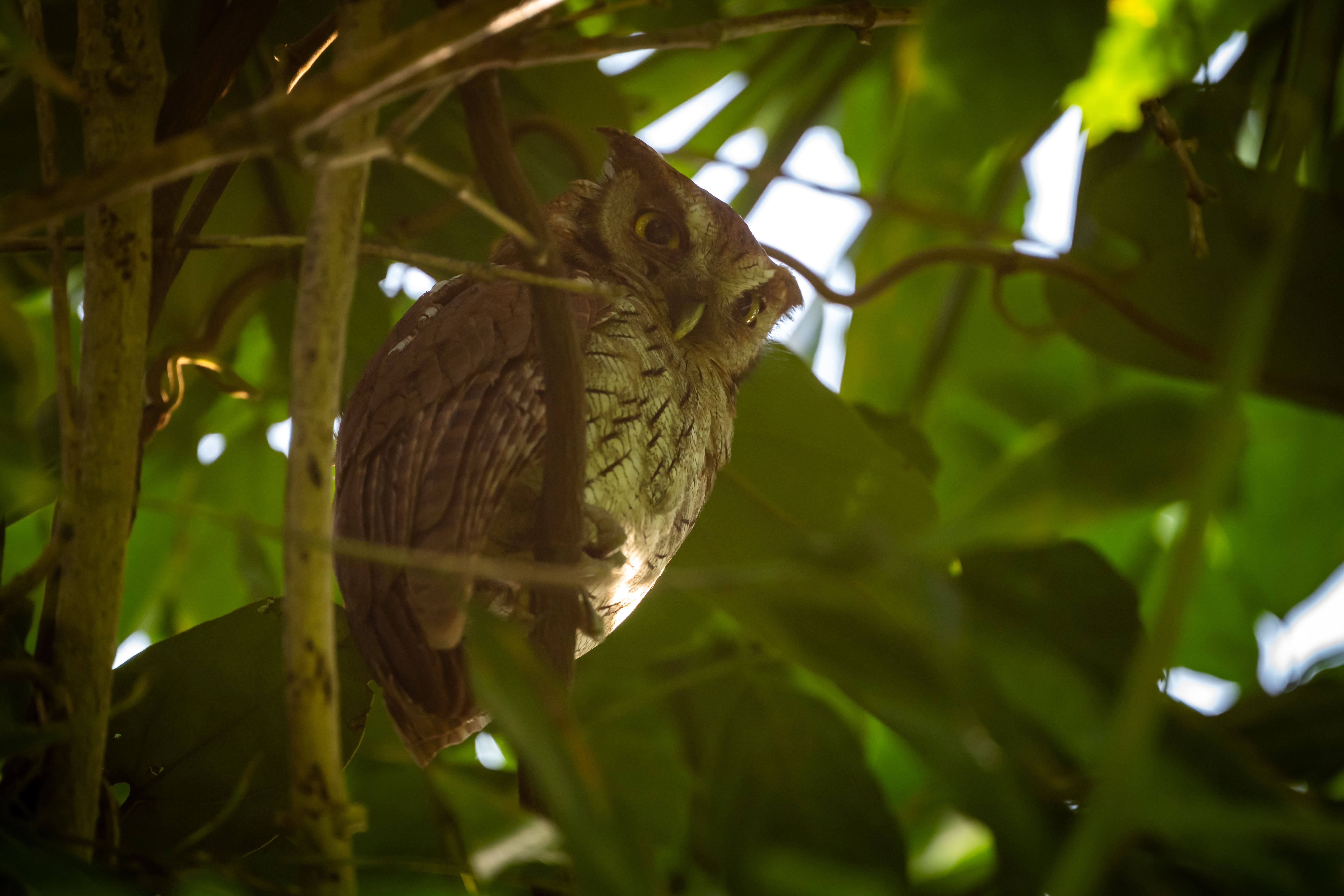 Amazon expedition photo 8